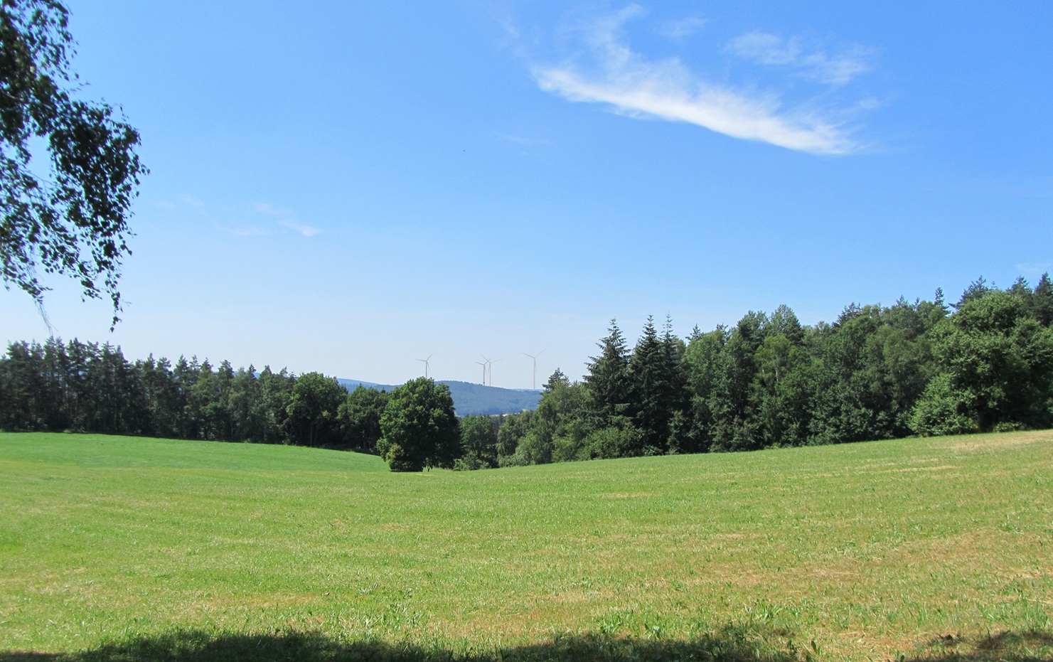 FP03_1.jpg